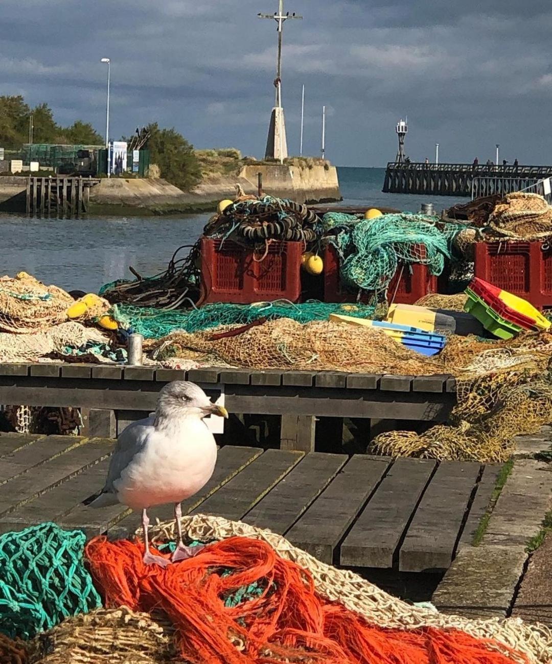 Entre Seulles & Mer Proche Port De Plaisance Courseulles-sur-Mer Bagian luar foto
